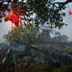 Illustration for article titled Take a Scenic, Mostly-Empty Tour of the emThe Elder Scrolls Online/em